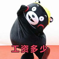 熊本熊卖萌带字微信表情包 相亲法则