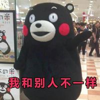 熊本熊卖萌带字微信表情包 相亲法则