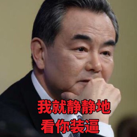 王毅各场合微信表情包 霸气外露！