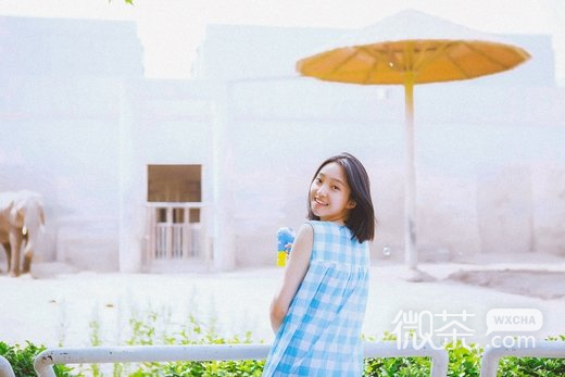 清纯夏日美女微信图片  千娇百媚