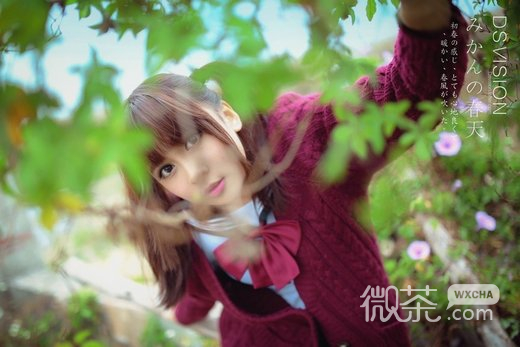 韩系清纯美女微信图片  玉貌花容