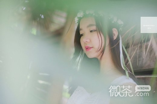 唯美清纯美女微信高清图片  金枝玉叶