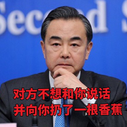 王毅各场合微信表情包 霸气外露！