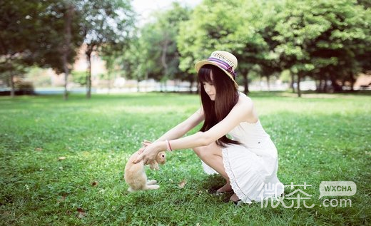 唯美气质性感美女微信图片 国色天香