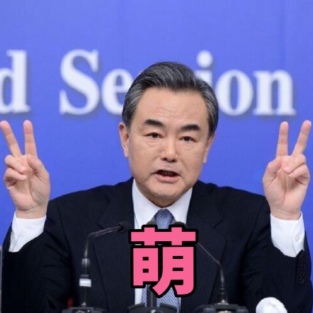 王毅各场合微信表情包 霸气外露！