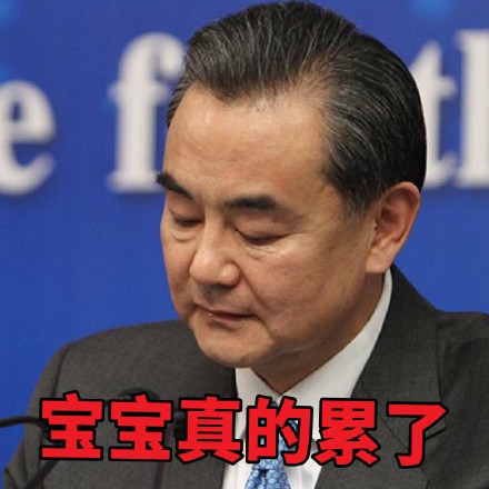 王毅各场合微信表情包 霸气外露！