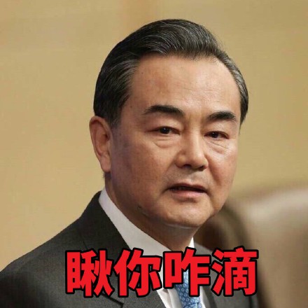 王毅各场合微信表情包 霸气外露！