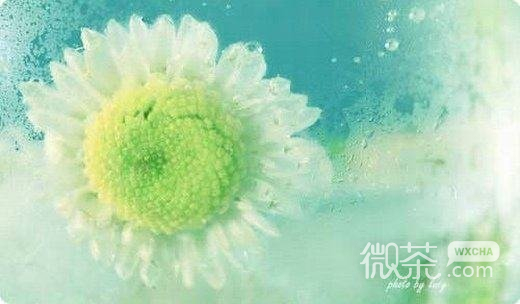 唯美意境微信高清图片