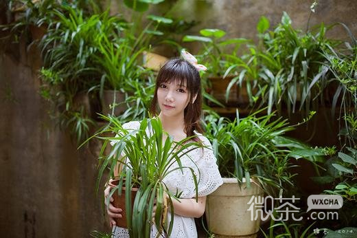微信清纯少女生活照 千娇百媚