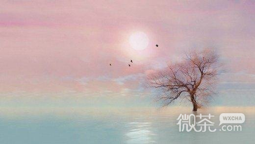 唯美意境微信高清图片