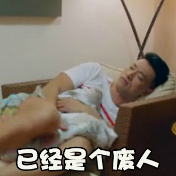 神犬小七第二季微信表情包 不明真相！