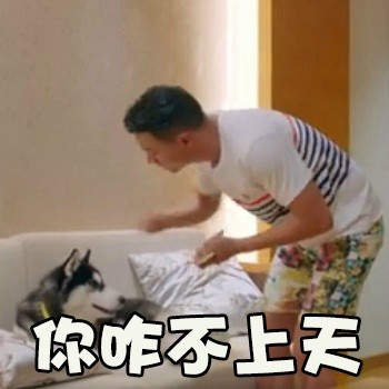 神犬小七第二季微信表情包 不明真相！