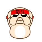 黑眼狗动态微信表情包全套 守家我光荣！