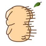 黑眼狗动态微信表情包全套 守家我光荣！