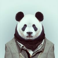 微信帅气萌比动物头像
