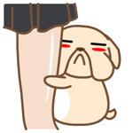 黑眼狗动态微信表情包全套 守家我光荣！