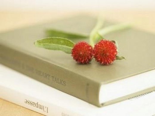 与书本有关的个性微信高清图片