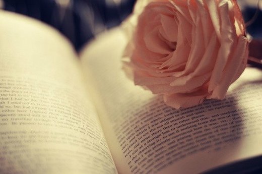 与书本有关的个性微信高清图片