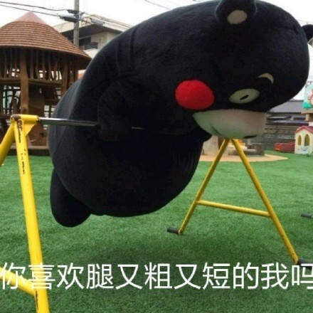 熊本熊微信表情包 憨厚老实!