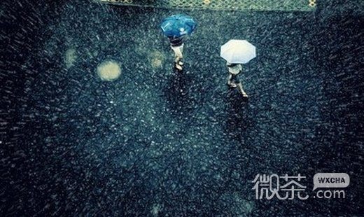 微信唯美雨的图片头像_别人等送伞 我却等雨停