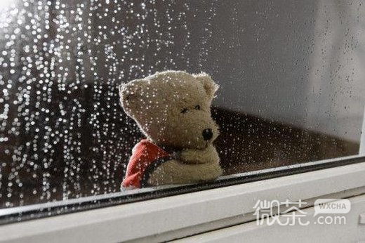 微信唯美雨的图片头像_别人等送伞 我却等雨停