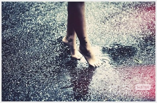 微信唯美雨的图片头像_别人等送伞 我却等雨停