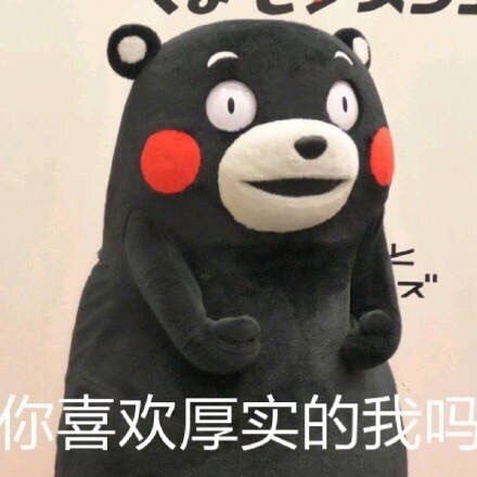 熊本熊微信表情包 憨厚老实!