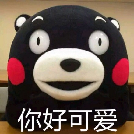 熊本熊微信表情包 憨厚老实!