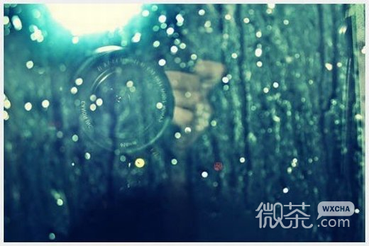 微信唯美雨的图片头像_别人等送伞 我却等雨停