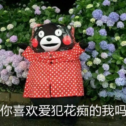 熊本熊微信表情包 憨厚老实!