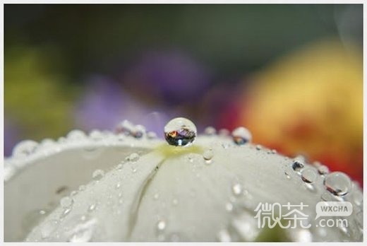 微信唯美雨的图片头像_别人等送伞 我却等雨停