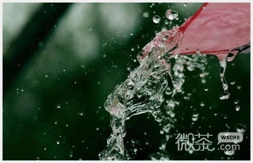 微信唯美雨的图片头像_别人等送伞 我却等雨停