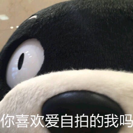 熊本熊微信表情包 憨厚老实!