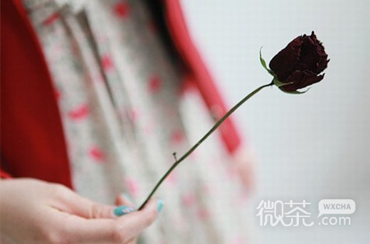 唯美小清新意境微信高清图片 起起落落