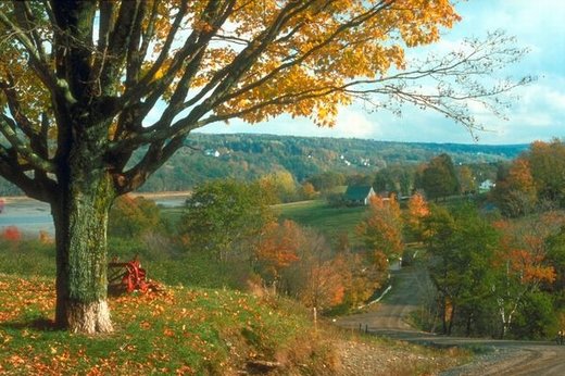 唯美景色有诗意的微信高清图片 美轮美奂