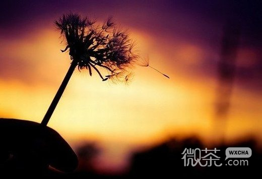 唯美小清新意境微信高清图片 起起落落