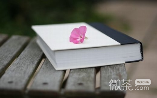 唯美小清新意境微信高清图片 起起落落