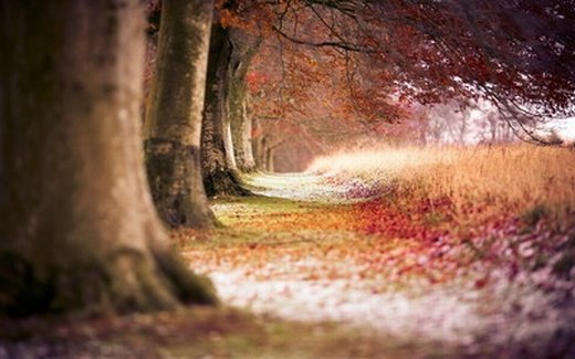 唯美景色有诗意的微信高清图片 美轮美奂