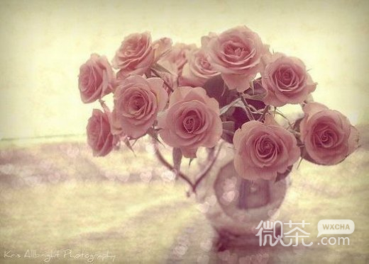 唯美漂亮的花朵微信高清图片