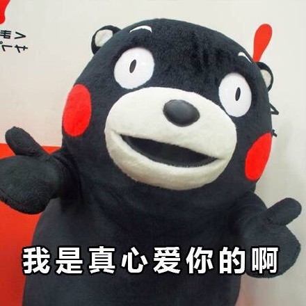 熊本熊失恋系列微信表情包 我们合好吧！