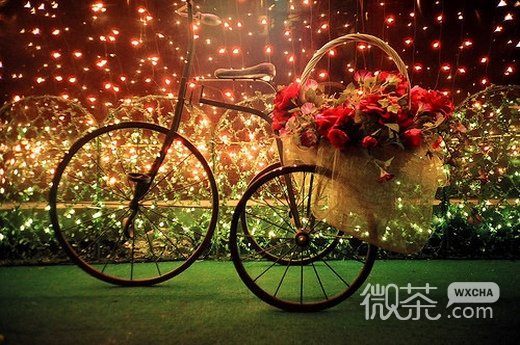 唯美漂亮的花朵微信高清图片