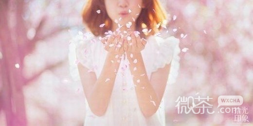 唯美小清新微信高清图片