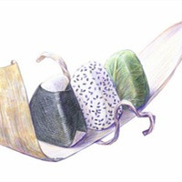 微信手绘食物彩铅头像高清 山高自有可行路