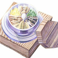 微信手绘食物彩铅头像高清 山高自有可行路