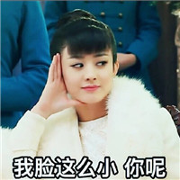 老九门尹新月聊天微信表情包 赵丽颖文字表情包