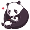 滚滚圆宝动态微信表情包 可爱国宝熊猫！