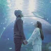 微信情侣头像 有情人终成眷属