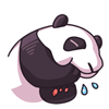 滚滚圆宝动态微信表情包 可爱国宝熊猫！