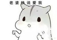 hamham仓鼠微信表情包老公老婆全套 仓鼠情侣专用表情包最新