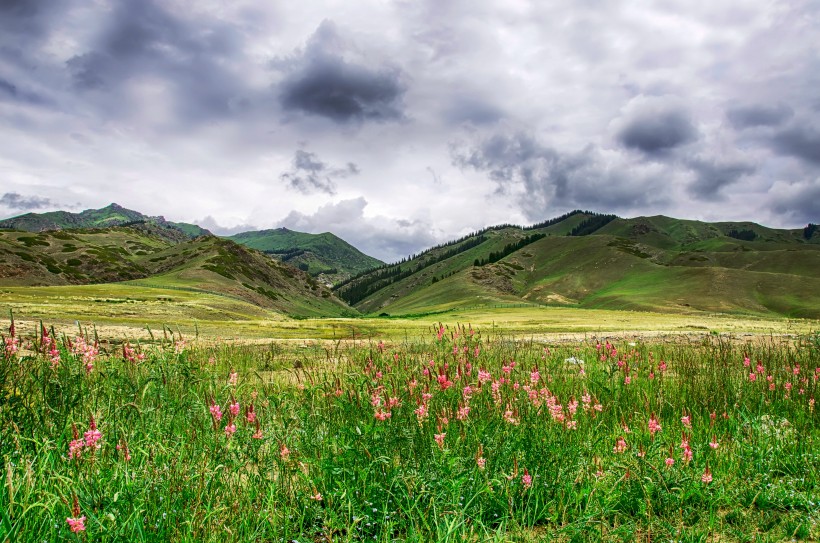 2016赛里木湖风景微信高清图片